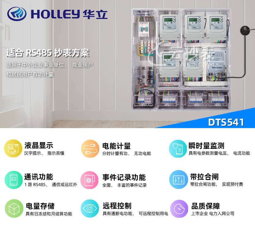 杭州華立DTS541簡單有功預(yù)付費電表